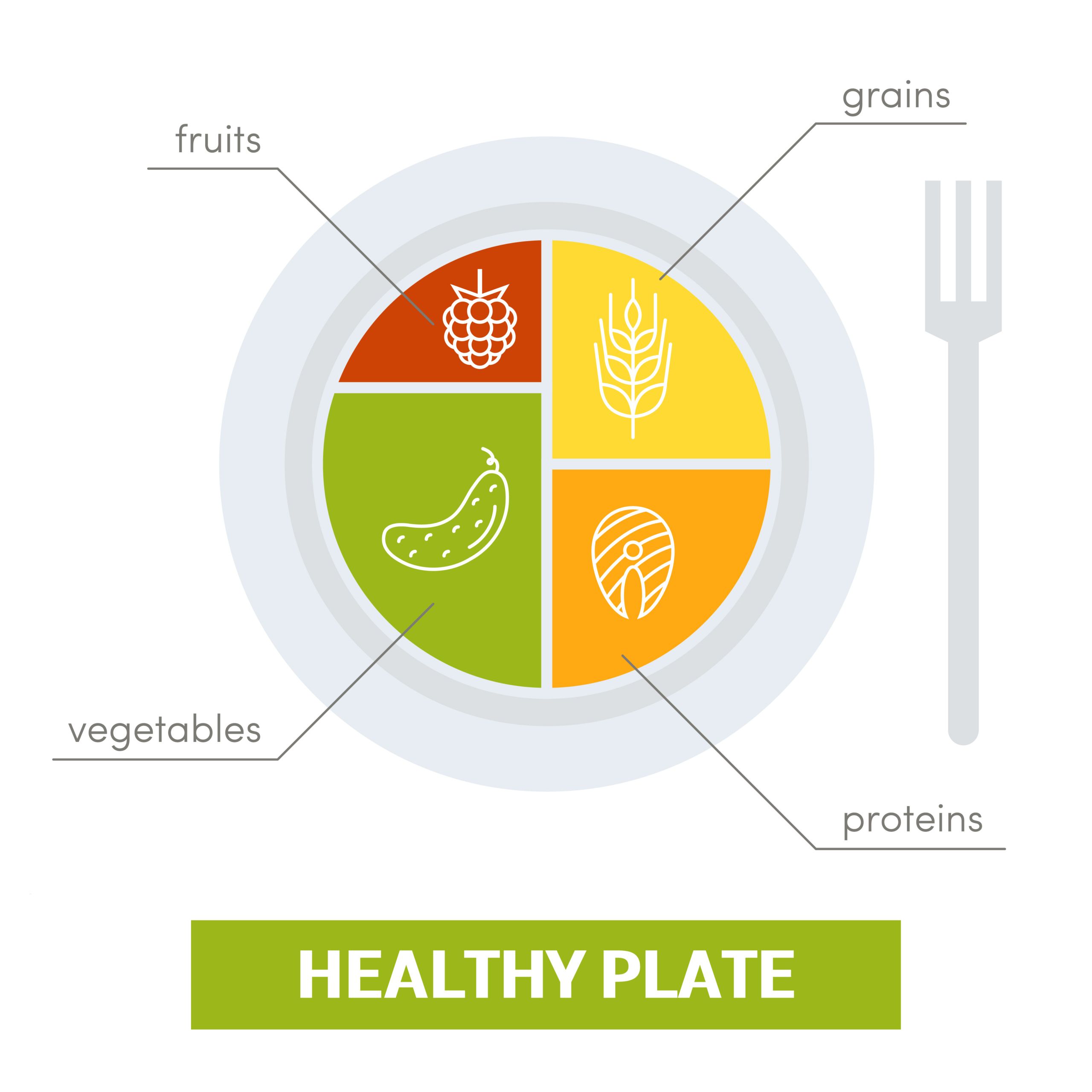 Guide to Building a Balanced Plate Overview - Healthy Eating Plate – Vivoo