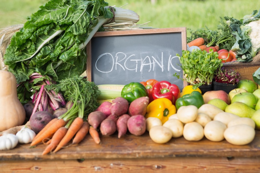 sustainable and organic food