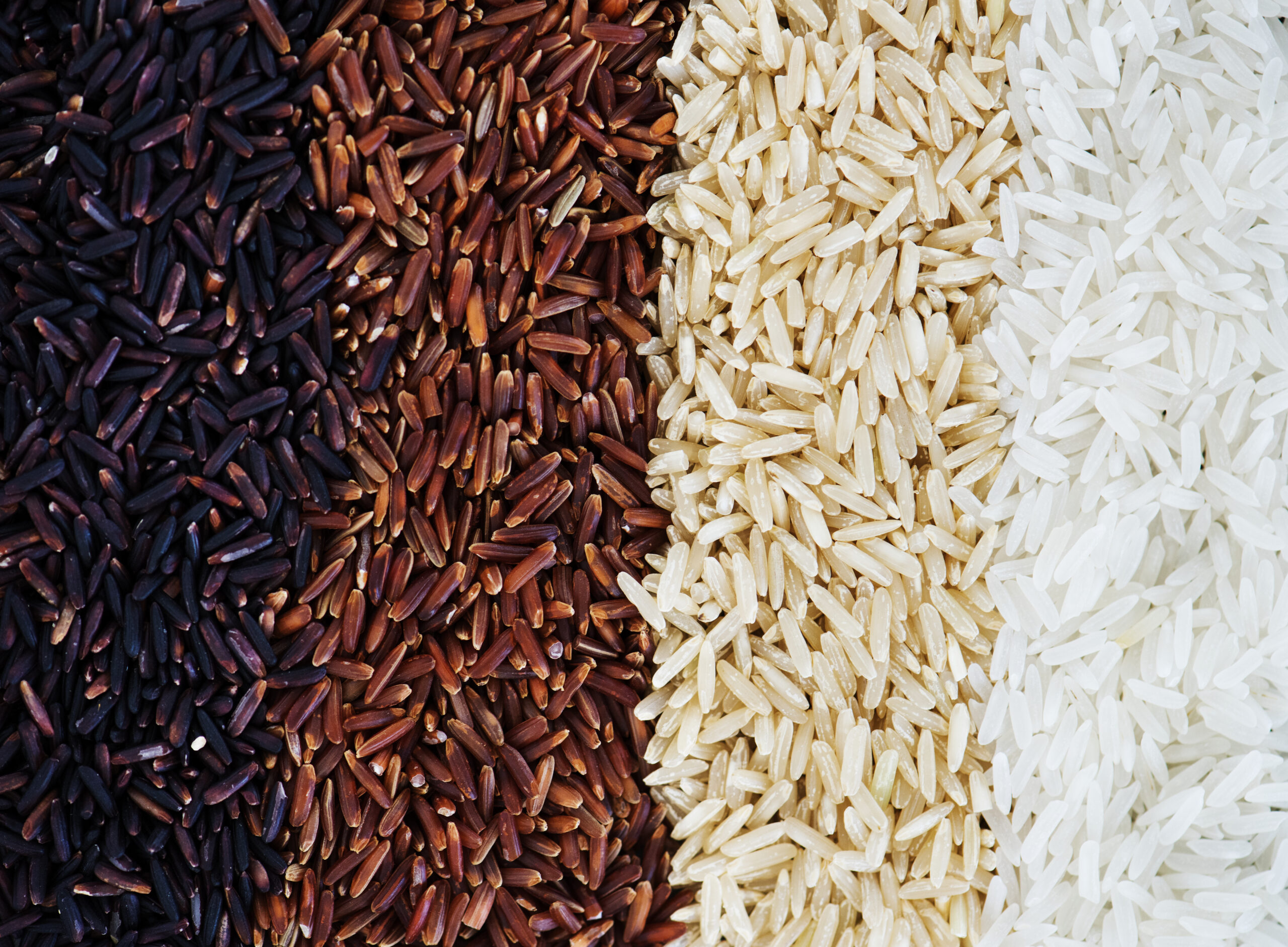 brown rice for vitamin B1