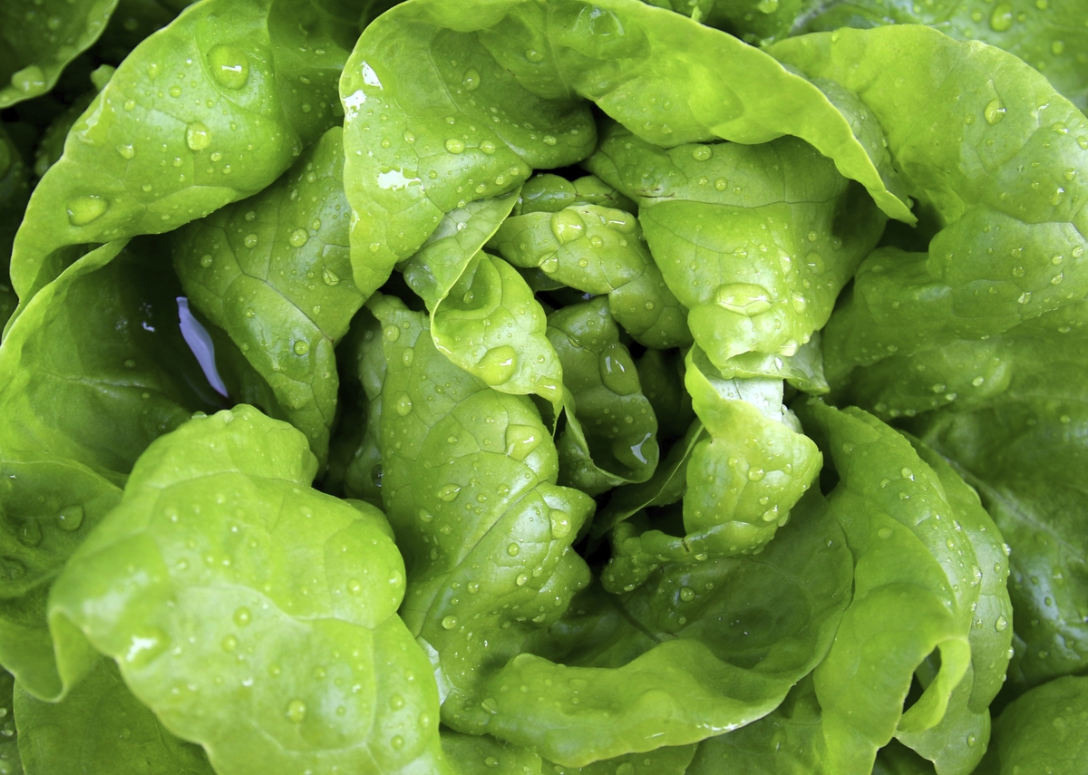 leafy vegetables for magnesium