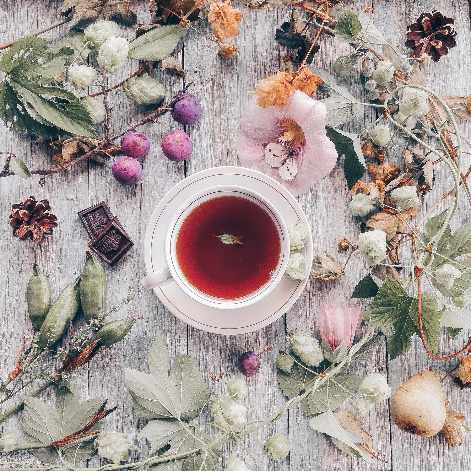 hibiscus tea for urinary health